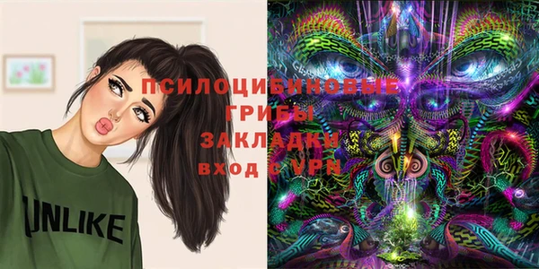 СК Алзамай