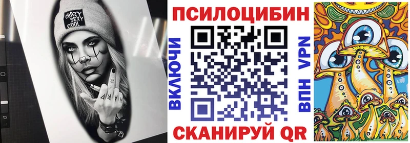 kraken Алзамай Галлюциногенные грибы Magic Shrooms