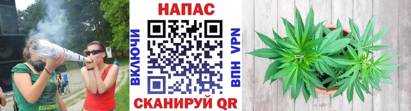 Бошки марихуана семена  Алзамай 